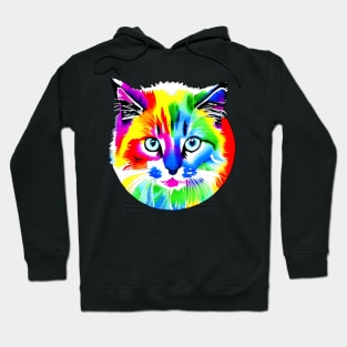 Colorful Rainbow Cats Digital Portrait (MD23Ar008b) Hoodie